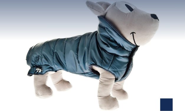 Akcije do kraja veljače: kaputići u Vet Petu sniženi 20%, akcijske cijene kastracije i sterilizacije mačaka u našim ambulantama