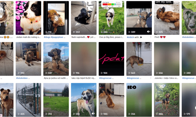 Pratite Sklonište za napuštene životinje Lič i na TikToku