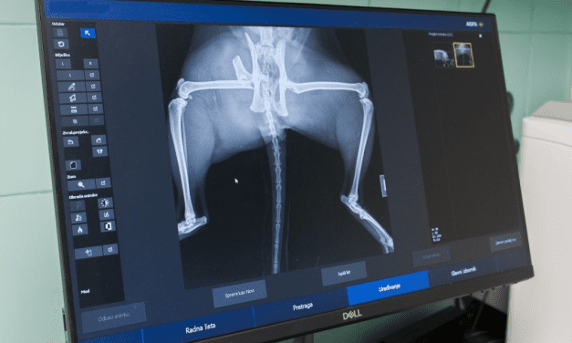 Veterinarska stanica Rijeka ususret budućnosti: postati vrhunskom klinikom specijaliziranom za ortopedske i druge specijalističke zahvate