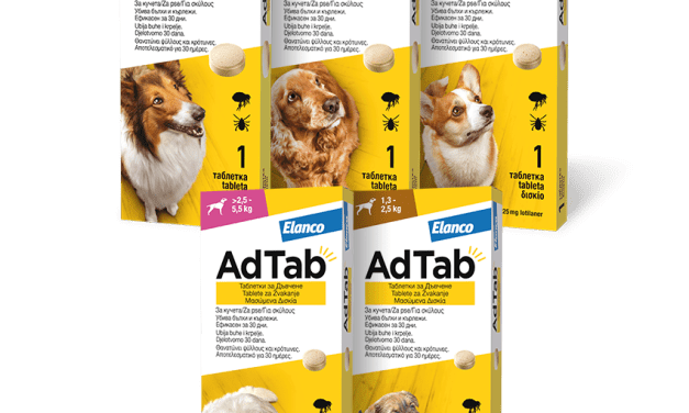 Travanjski Vet Pet popusti na sredstva protiv buha i krpelja: Foresto ogrlice i AdTab tablete za pse