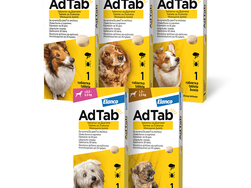 Travanjski Vet Pet popusti na sredstva protiv buha i krpelja: Foresto ogrlice i AdTab tablete za pse